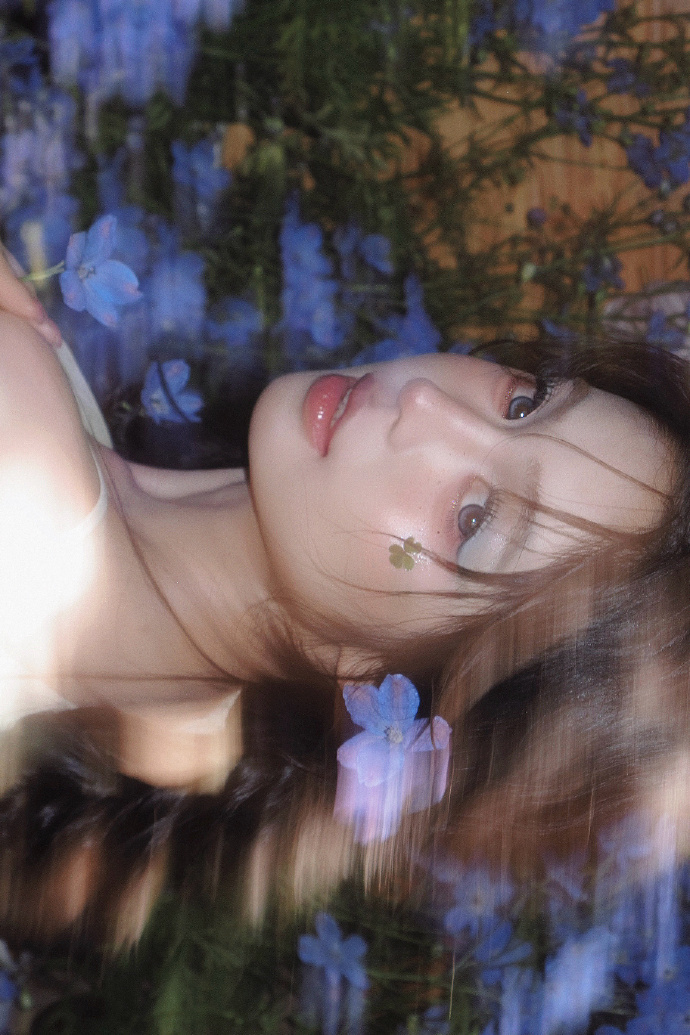 蜘蛛池访问日志的深度分析