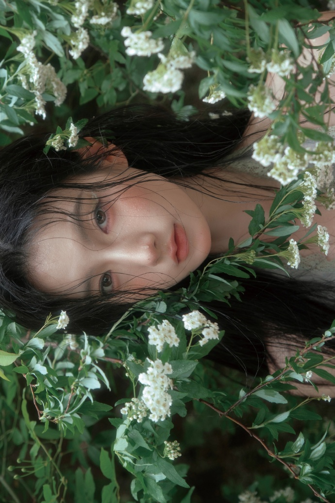 蜘蛛池访问日志的分析方法